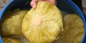Баба ми има своя рецепта за киселото зеле, слага тайна съставка и става уникално вкусно и дълготрайно 4