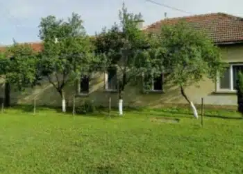 Това е дървото, което трябва да е в двора на всяка къща, за да има пари, щастие и хармония в дома 7