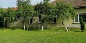 Това е дървото, което трябва да е в двора на всяка къща, за да има пари, щастие и хармония в дома 3