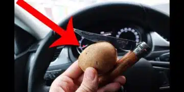 Малко шофьори знаят колко може да е полезно да имат картоф под ръка през есента и зимата! 12