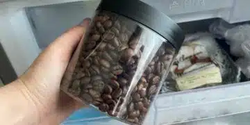 От както започнах да слагам кафето си във фризера, осъзнах, че до сега не съм пила истинско кафе 13