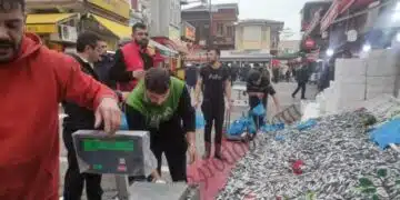 2 евтини стоки провокираха стотици българи да тръгнат на път към Одрин! ВИДЕО 1
