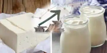 Голяма промяна в етикирането на киселото мляко! Търсете това на етикета, защото е най-добро 10