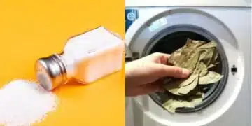 Леля ме научи да слагам дафинов лист и сол в пералнята и още 7 страхотни лайфхака за дома 2