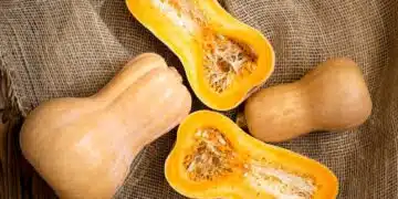Леля Пепи ти споделя тайната на най-вкусната и бърза баница с тиква - прави се за 30 минути, изяжда се за отрицателно време! 9