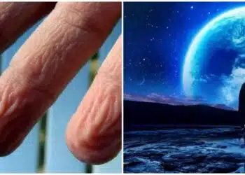 Факти за човешкото тяло, които ще ви изумят 8