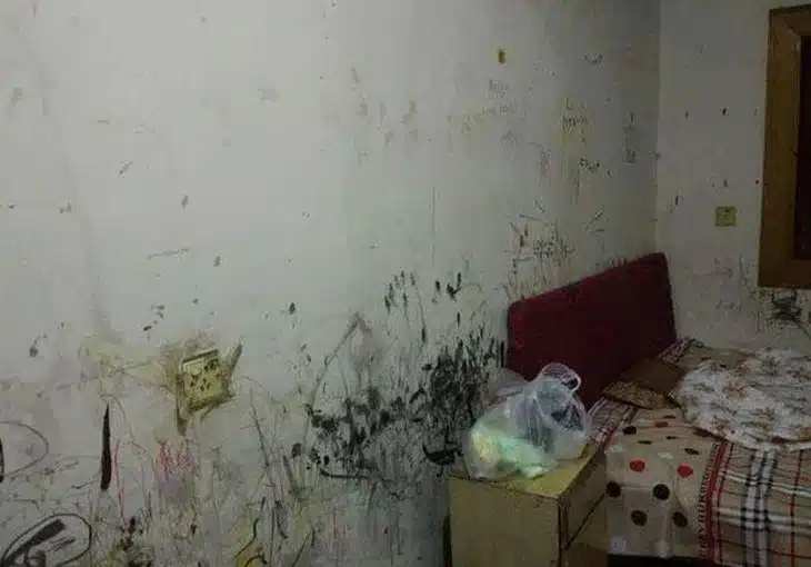 Студентка попада в отвратителна стая в общежитието, но за няколко дни я превърна в рай! (СНИМКИ) 2