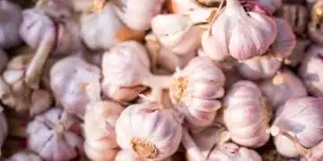 Това е най-добрата алтернатива на чесъна - божествен вкус без миризми 1