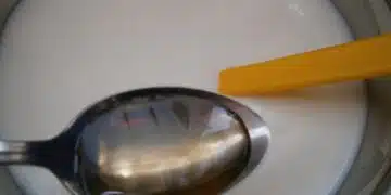 лъжица