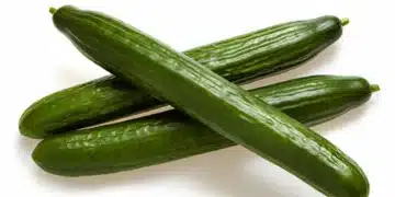 краставици