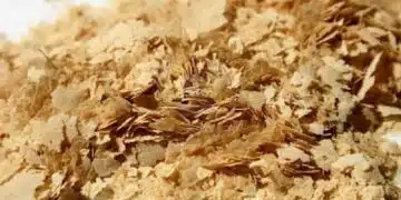 От както я пия за черния ми дроб, умората ми изчезна, станах по-жизнена 12