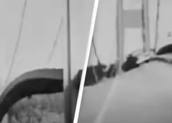 Кадри показват какво се случва с мост, секунди преди да се срине на парчета 1