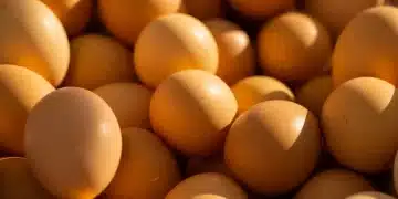 Разкриха с какво може да замените яйцата и маслото в храненето и готвенето 3