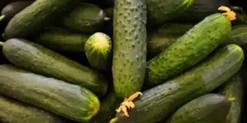 краставички