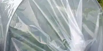 оранжерия