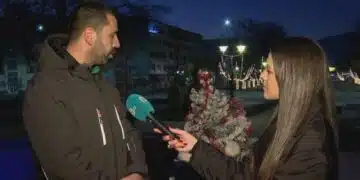 Мъжете, които откраднаха украсена елха в Перник, искаха да я пласират, за да изкарат пари – не им се получи! 12