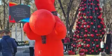 Има-няма петнадесетина дни от празничната украса във Велинград и вече е повредена, бива ли така?! СНИМКИ 2