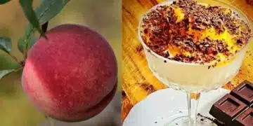 Всички ще го харесат: здраволовен десерт със замръзнала праскова 6
