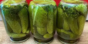 Забравете за захарта и оцета: как да си приготвите хрупкави и вкусни кисели краставички 9