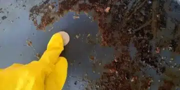 Нужна Ви е само една монета и тавата за печене ще стане като нова 9