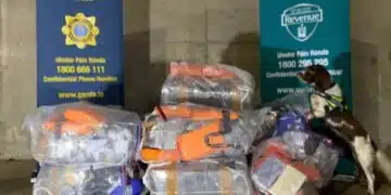 Каква информация има за българския кораб „Верила“ и пратката на него? Може ли да е дело на ирландска банда? 4