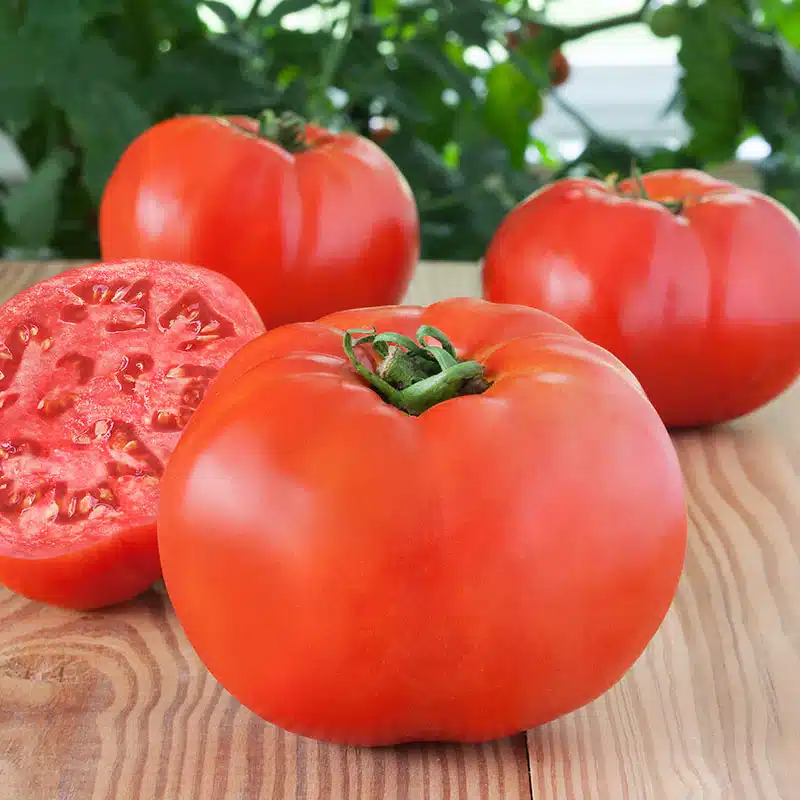 Ултра ранни и ранни сортове и хибриди домати, които раждат като луди 3