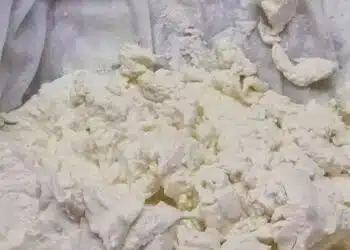 Как да си направиш вкусна домашна извара само с ЕДНА съставка 12