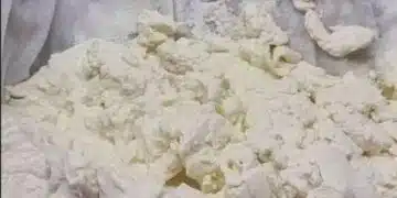 Как да си направиш вкусна домашна извара само с ЕДНА съставка 3