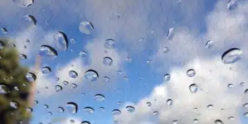 предно стъкло на кола
