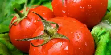 Как да направиш купешките домати вкусни почти колкото домашните 1