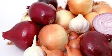 лук