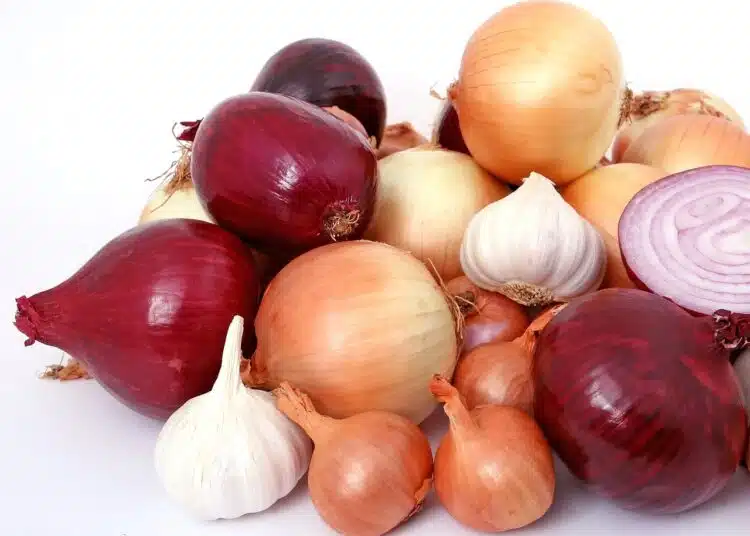 лук