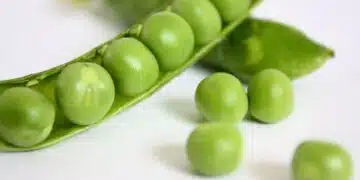 грах