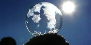 студ