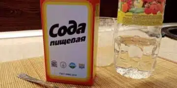 Защо опитните готвачи винаги добавят сода в каймата за кюфетата 12