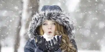 студ
