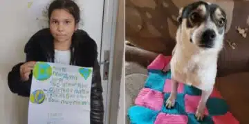 Дете с голямо сърце! Тя е само 3 клас, а сама изплете и дари одеяло с кауза за животните! 3