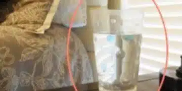 Има как да се направи проверка за силна черна магия и отрицателна енергия у дома, обясняваме: 7