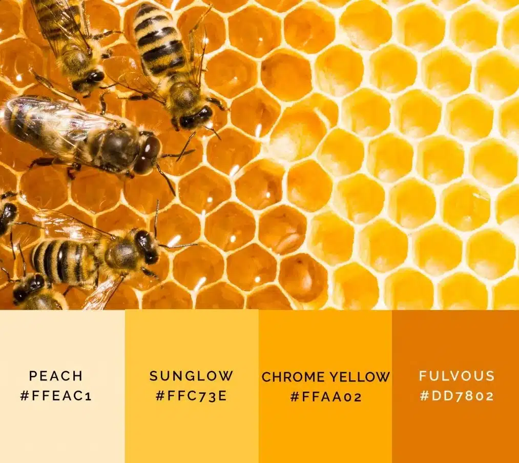 Добави мед към интериора у дома – назоваха един от най-модерните цветове на 2024! Почерпи вдъхновение: 1