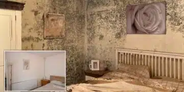 Добрият пример! Зов за помощ в социалните мрежи помогна да се съберат пари за ремонт на незряща пенсионерка! 9