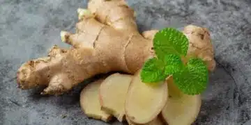 По какъв начин да отглеждаме джинджифил в домашни усливия: 5