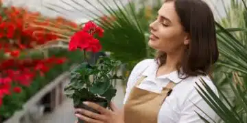 Добави това в мушкатото за буен и красив цъфтеж 12