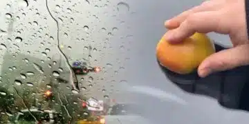 Избърши с ябълка стъклото на автомобила си и когато има дъжд, ще ми благодариш 8