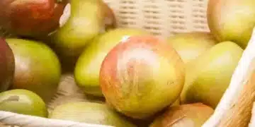 5 ползи от яденето на манго 14