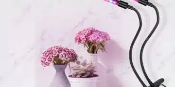 фитолампа