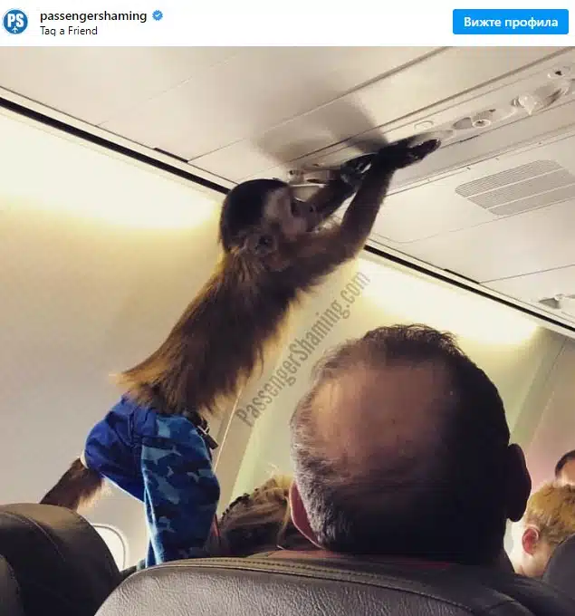Бивша стюардеса реши да сподели снимки на своите най-лоши пътници, всеки може да попадне на тях 8
