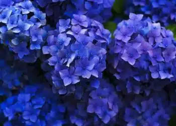 5 неща, които не трябва да давате на половинката си 14