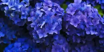 5 неща, които не трябва да давате на половинката си 1