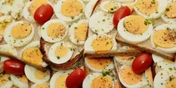 яйца