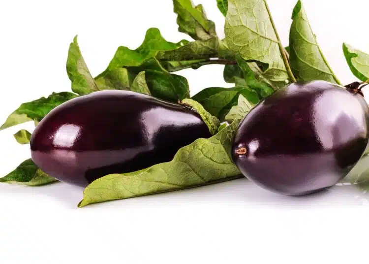 патладжан
